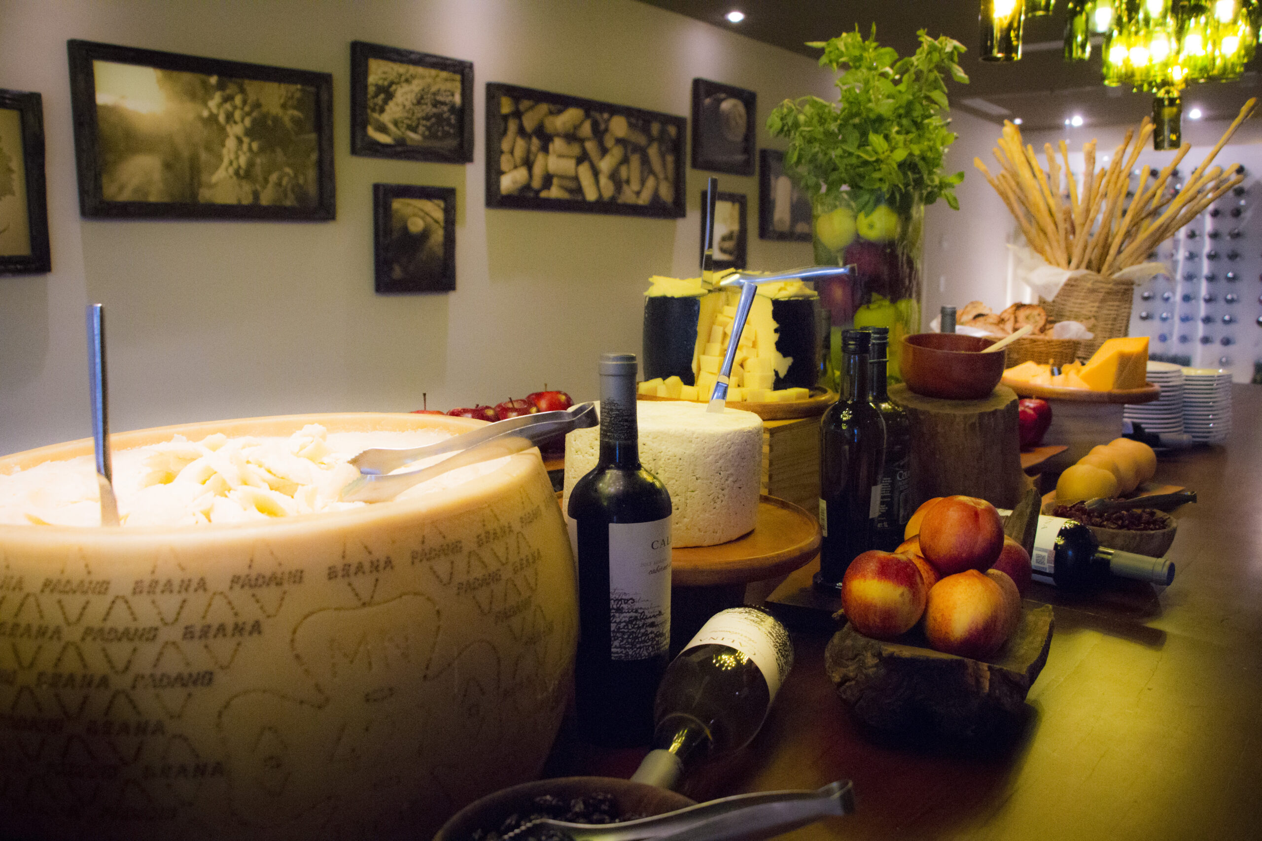 Mora Comunicación y Mercadotecnia banco de imágenes de marca