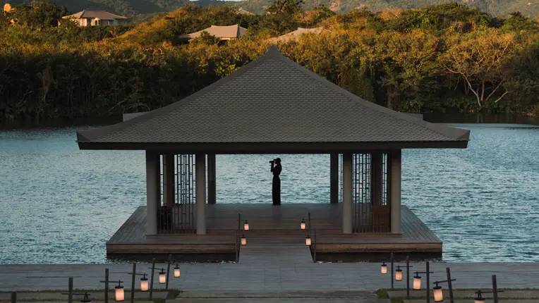 El ecosistema de marca es un proceso vivo que respira y se mueve.