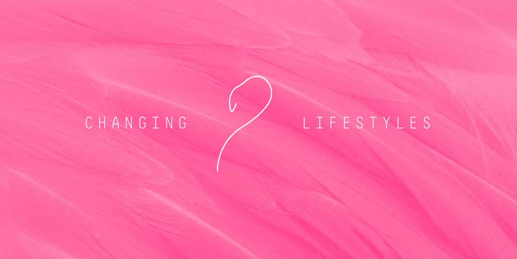 Cómo el diseño basado en datos estructura decisiones de negocio | MORA Comunicación y Mercadotecnia