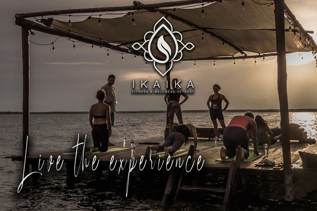 Cómo el diseño basado en datos estructura decisiones de negocio | MORA Comunicación y Mercadotecnia